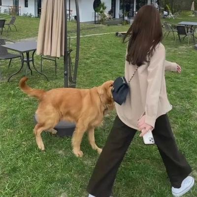 寂寞调香师