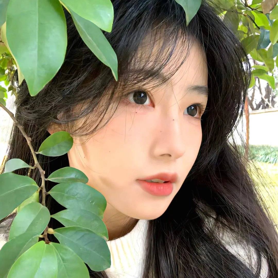 你的鸟儿会唱歌